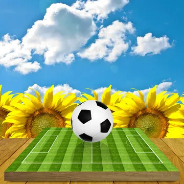 更多体育项目